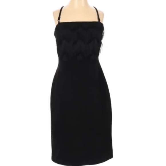 NWT Banana Republic Dress Strapless (or with straps) Fringe 0P - Picture 8 of 10